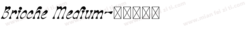 Brioche Medium字体转换